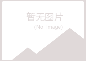 鹤岗兴山字迹材料有限公司